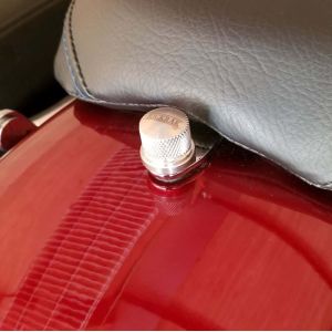 Alternative view of RickRak EZ Seat Bolt