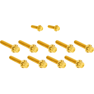 Arlen Ness&reg; Bolt Kit - Cam Cover/Point Cover - Titanium - 12-Point - Gold 300-934
